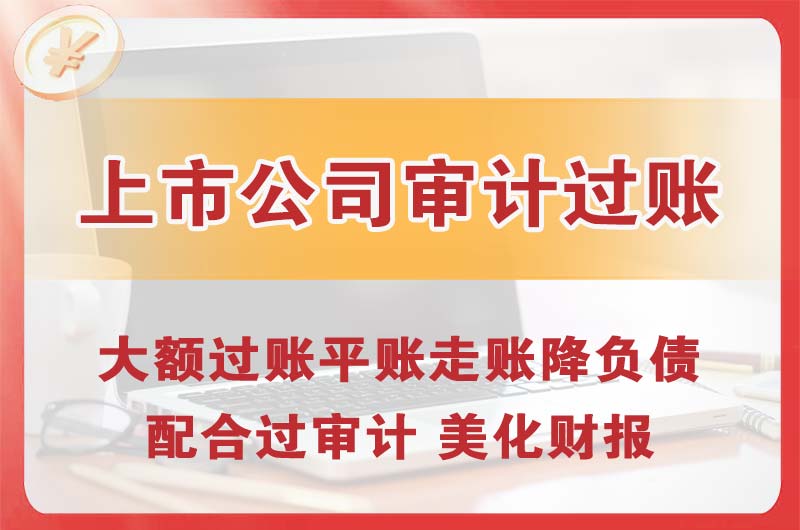 乐清上市公司审计过账